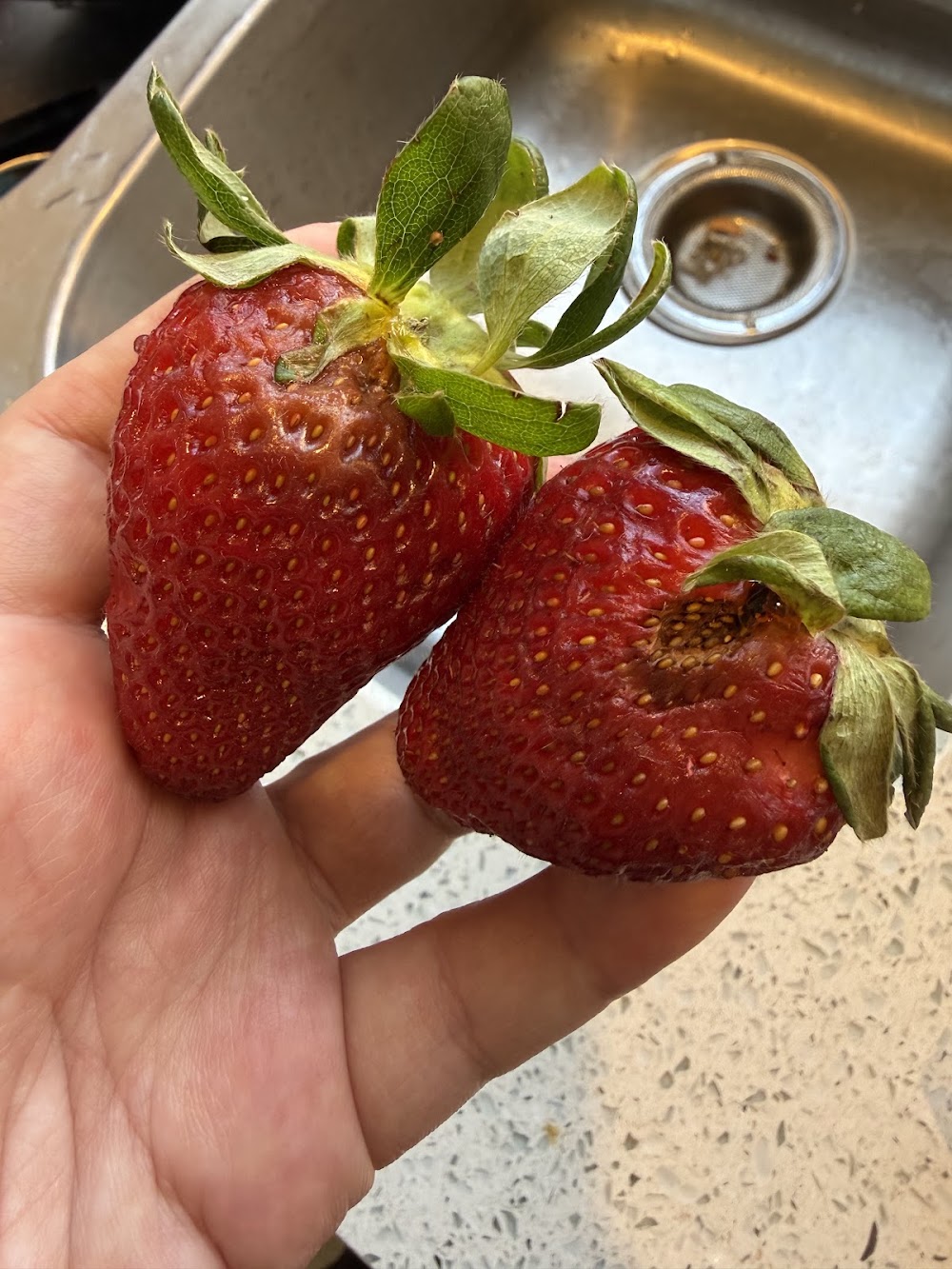 Berumen Farms produce stand