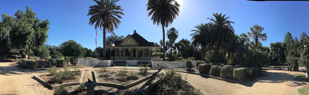 Things to Do in Downtown Fullerton: A Local's Guide