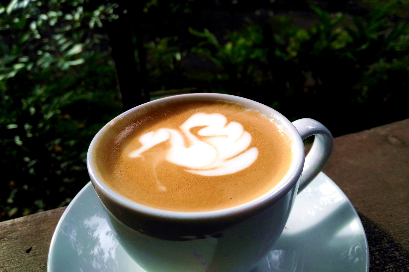 Best Coffee Shops in Anaheim: A Local's Ranked Guide (2026)