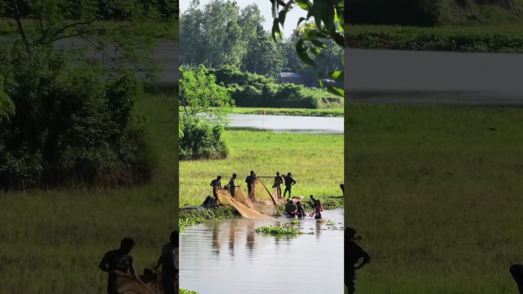 #Fishing #Village #Tradition #Nature #Community #Water #Harvest #Local #DailyLife #Simplicity