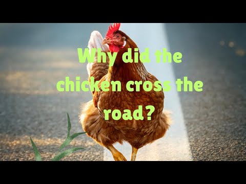 Why did the chicken cross the road?