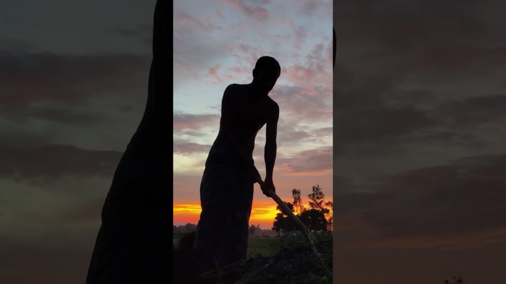 #Sunrise #GoldenHour #Village #Farmer #Rural #Nature #Morning #Agriculture #Country #Magic #Work