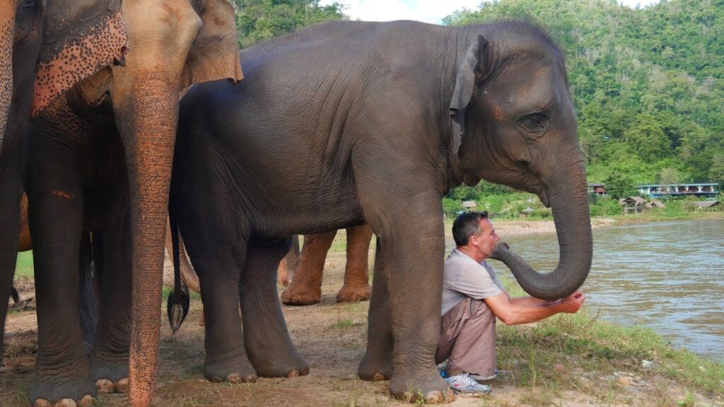 The Elephant Whisperer – Man and Elephant are Best Friends